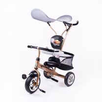 Jungle Tricikl "Happy Dino",12M+