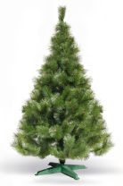 Bor - Zelena Novogodišnja Jelka 150 Cm